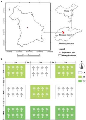 Soil microbial communities response to different fertilization regimes in young Catalpa bungei plantation